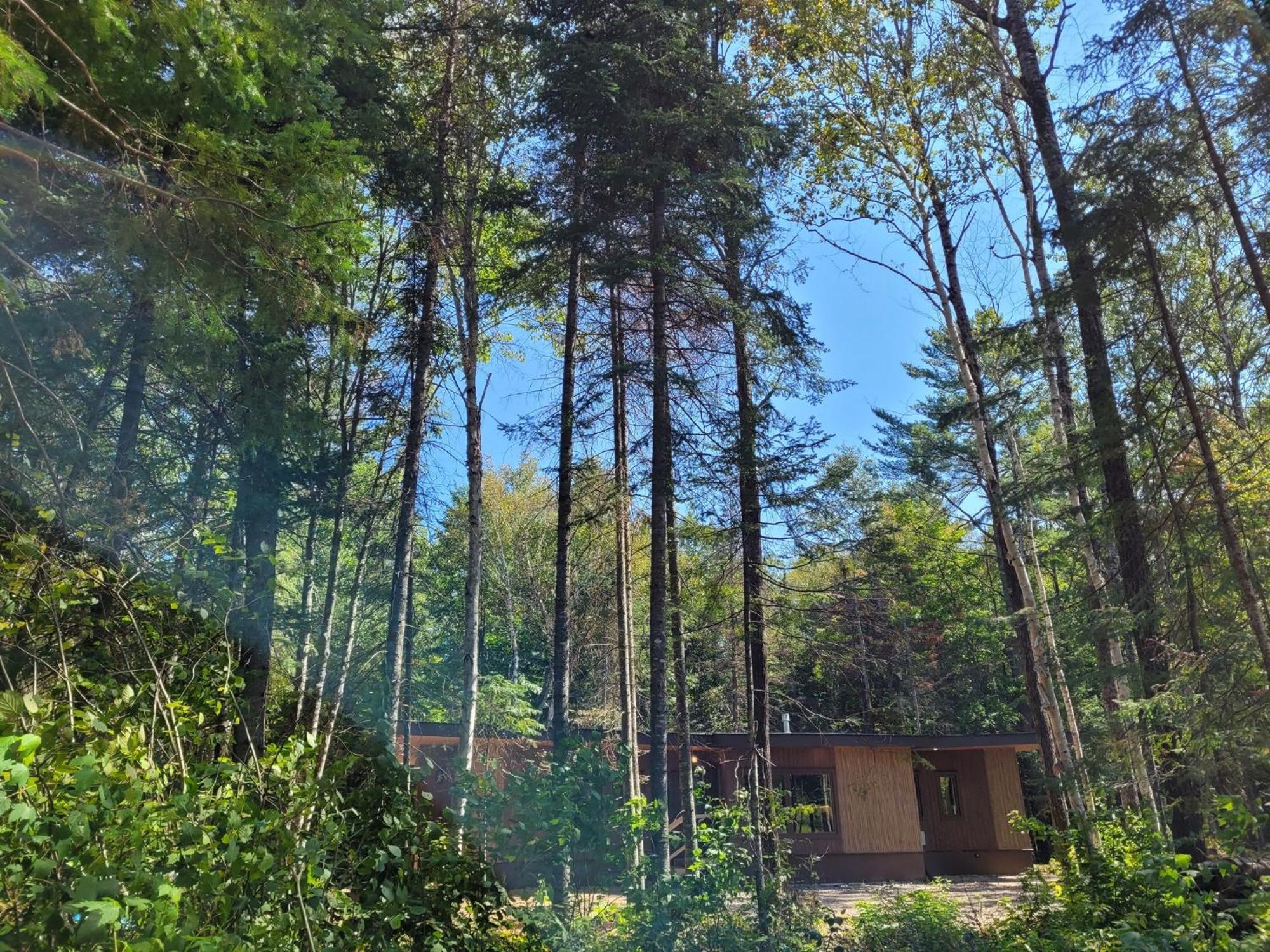 Nomi Resort Harcourt Экстерьер фото